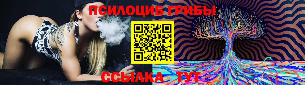 Бузулук  Псилоцибиновые грибы Psilocybine cubensis  Вход с VPN 
