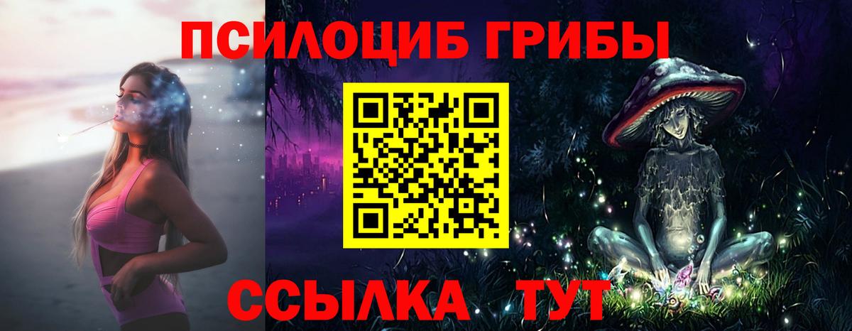 Галлюциногенные грибы Psilocybe Бузулук